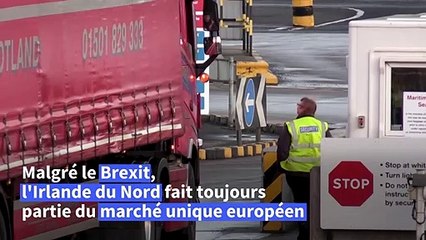 Le Brexit, entre aubaine et casse-tête pour les entreprises nord-irlandaises