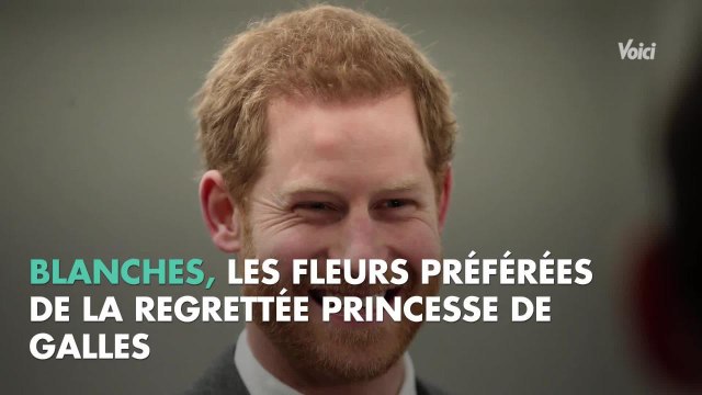 Mariage du prince Harry et Meghan Markle : les futurs époux rendront un émou­vant hommage à Lady Di
