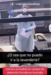 Así se las gastan en los campos de concentración australianos