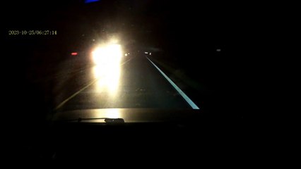 Deer on Road Narrowly Avoided