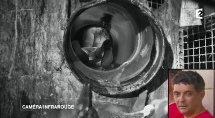 Fort Boyard : Thierry Moreau perd son pantalon dans une épreuve