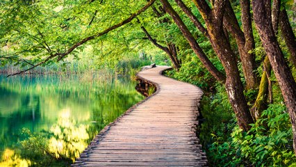 10 Greenest Places on Earth — From Jungle Hikes to Waterfall Dips