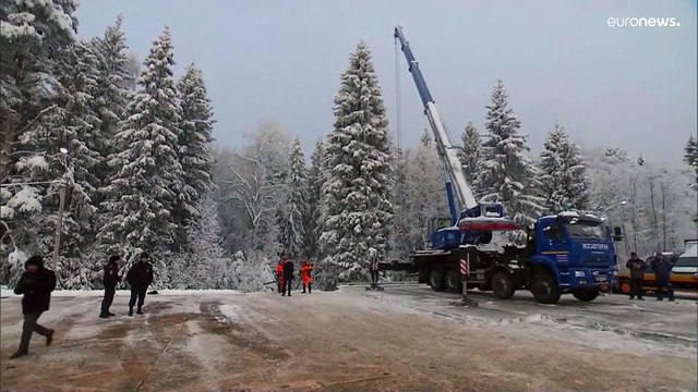Главную новогоднюю ель России везут в Кремль