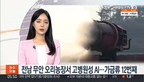 전남 무안 오리농장서 고병원성 AI 확인…가금류 12번째