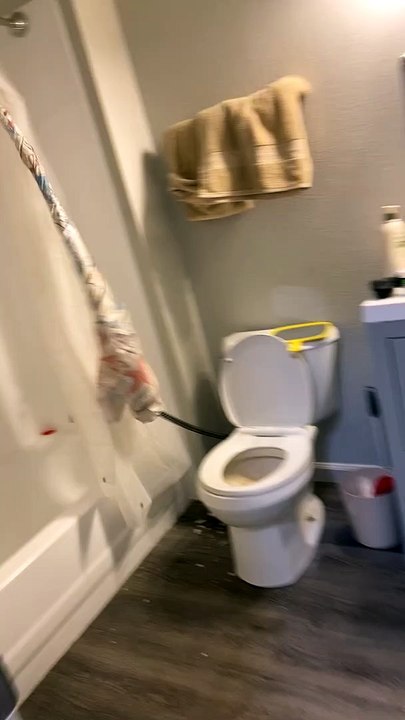 Plumber Snakes the Shower Curtain