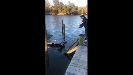 Dock Toss Fail