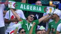 الجزائر - قطر.. صدام ملك إفريقيا وزعيم آسيا على عرش العرب