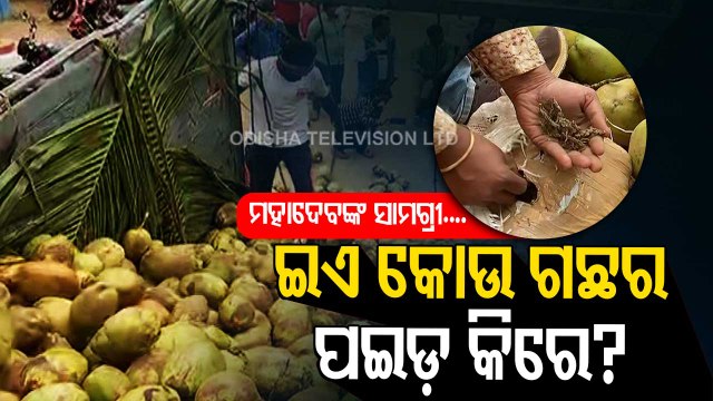 News Fuse- Huge Cache Of Ganja Seized From Coconut-Laden Truck