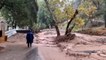 Heavy rain leads to mudslides in wildfire-scorched Silverado Canyon