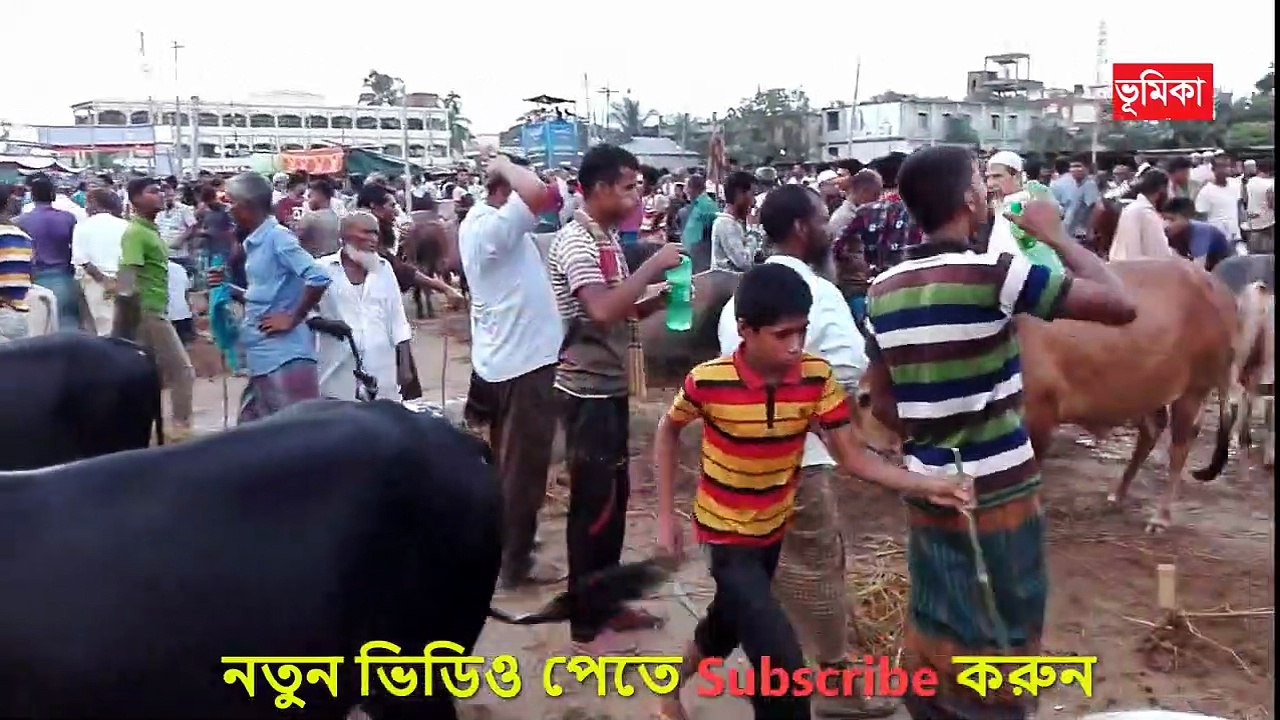 হাটে গরুর দাম নিয়ে ক্রেতা বিক্রেতার মধ্যে তুমুল ঝগড়া | Cow market in Bangladesh _ Vumika TV