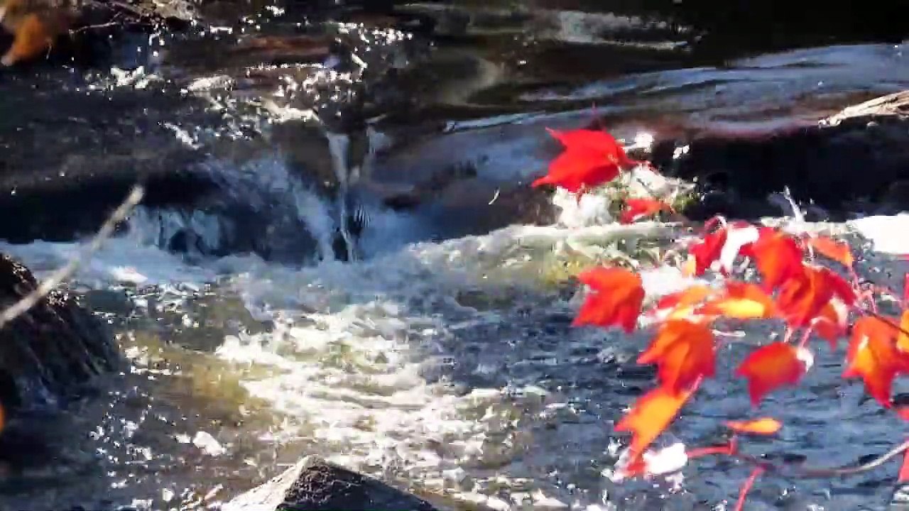 Asmr environmental and nature sounds to relax (river 2) /Asmr sonidos ambientales y de la naturaleza para relajarte (río 2)