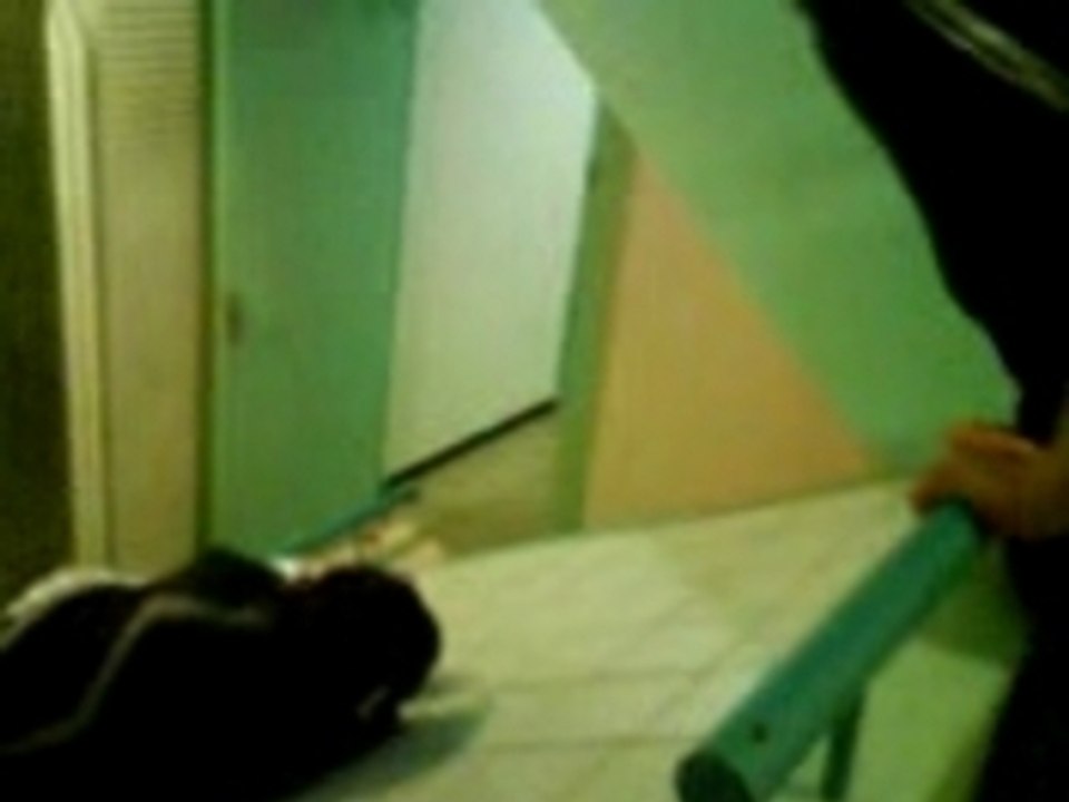 parodie scream