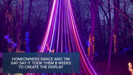 New York holiday display puts Clark Griswold's home to shame