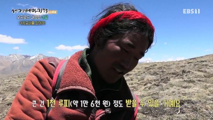 세계테마기행 - 오프로드 대장정- 야차굼바를 찾아서, 네팔 돌포_#003