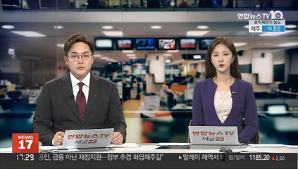 "종전선언 중국 참여는 양날의칼…문안합의 어려워져"