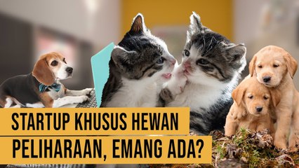 Ternyata Ada Startup Yang Fokus Pada Hewan Peliharaan?