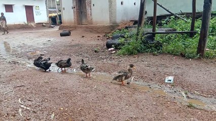 video_20210907_111839