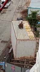 Vincin kaldırdığı konteyner üzerinde işçi mahsur kaldı