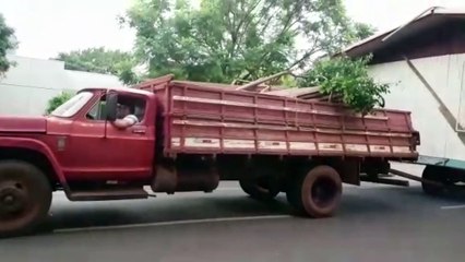 "Casa da vó" sendo transportada pelas ruas de Cascavel chama a atenção de quem acordou cedo