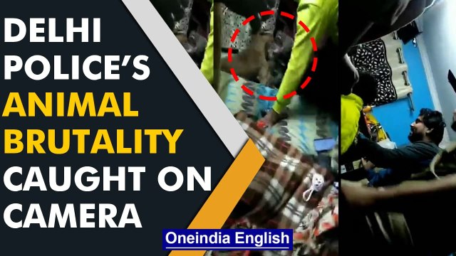 Delhi police forces pet dog to fight pitbull, video surfaces online |Oneindia News