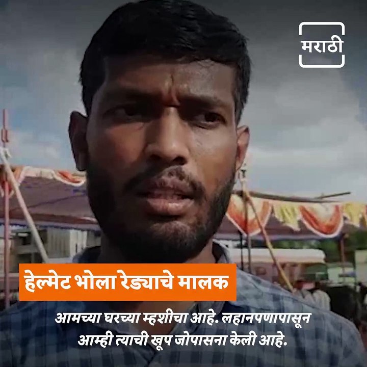 Watch: This Kolhapur Based Helmet Wearing Buffalo Gone Viral On Social Media