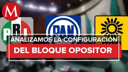 ¿Qué hay detrás de la alianza de Va por México? Paul Ospital