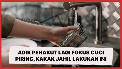 Adik Penakut Lagi Fokus Cuci Piring, Kakak Jahil Malah Iseng Lakukan Ini