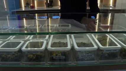 Μάλτα: "ΝΑΙ" στην  περιορισμένη καλλιέργεια και κατοχή κάνναβης για προσωπική χρήση!