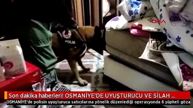 Son dakika haberleri! OSMANİYE'DE UYUŞTURUCU VE SİLAH TİCARETİ OPERASYONU: 6 GÖZALTI