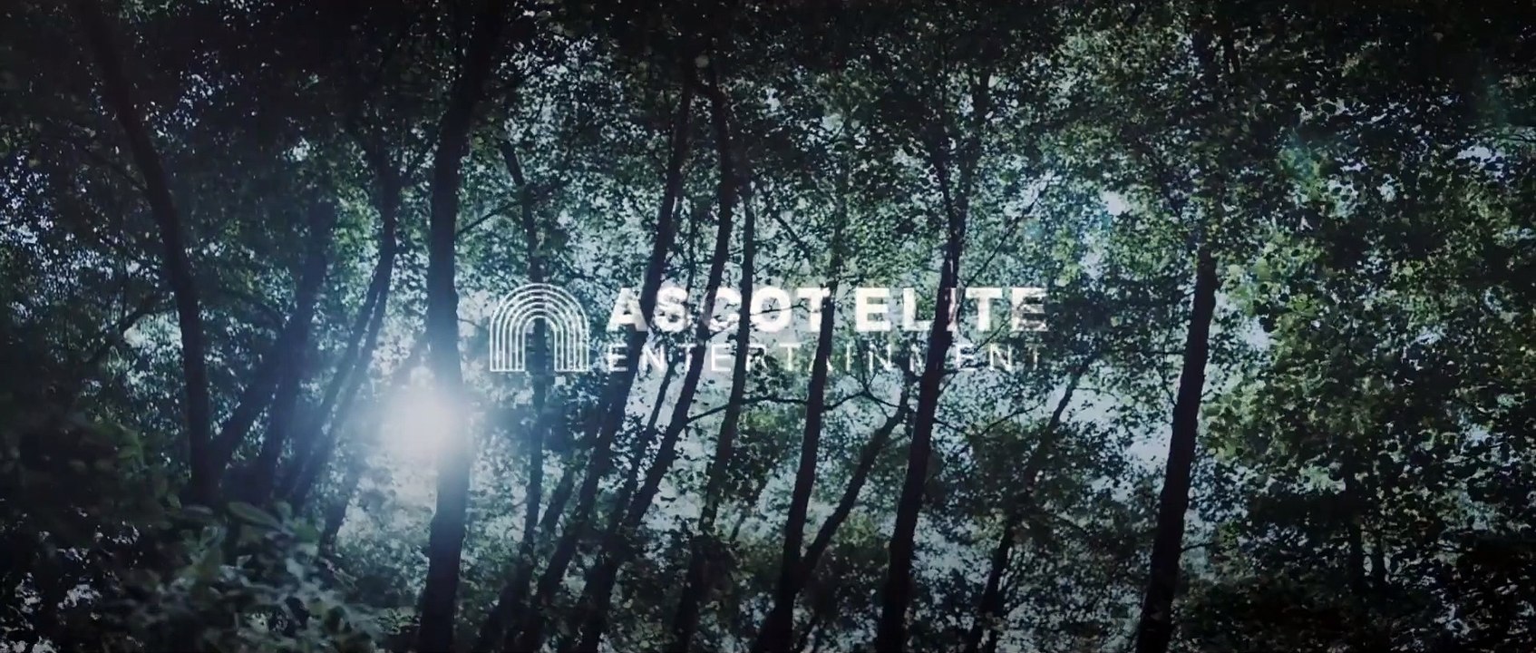 DIE SCHWARZE SPINNE Film