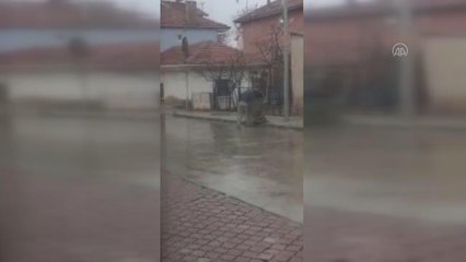 Çöpe attığı köpeği darbettiği iddiasıyla yakalanan kişi serbest bırakıldı