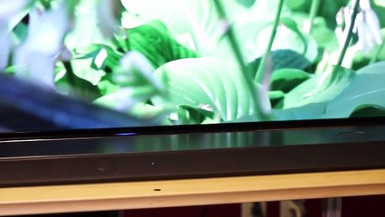 TOP 5_ Best Soundbar 2021