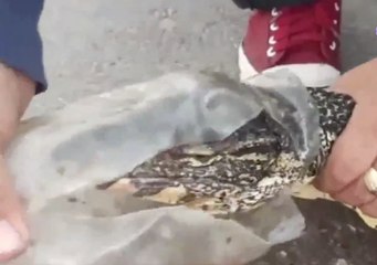 เรื่องพลบค่ำ ช่วงที่ 2 วันพุธที่ 15 ธ.ค.64