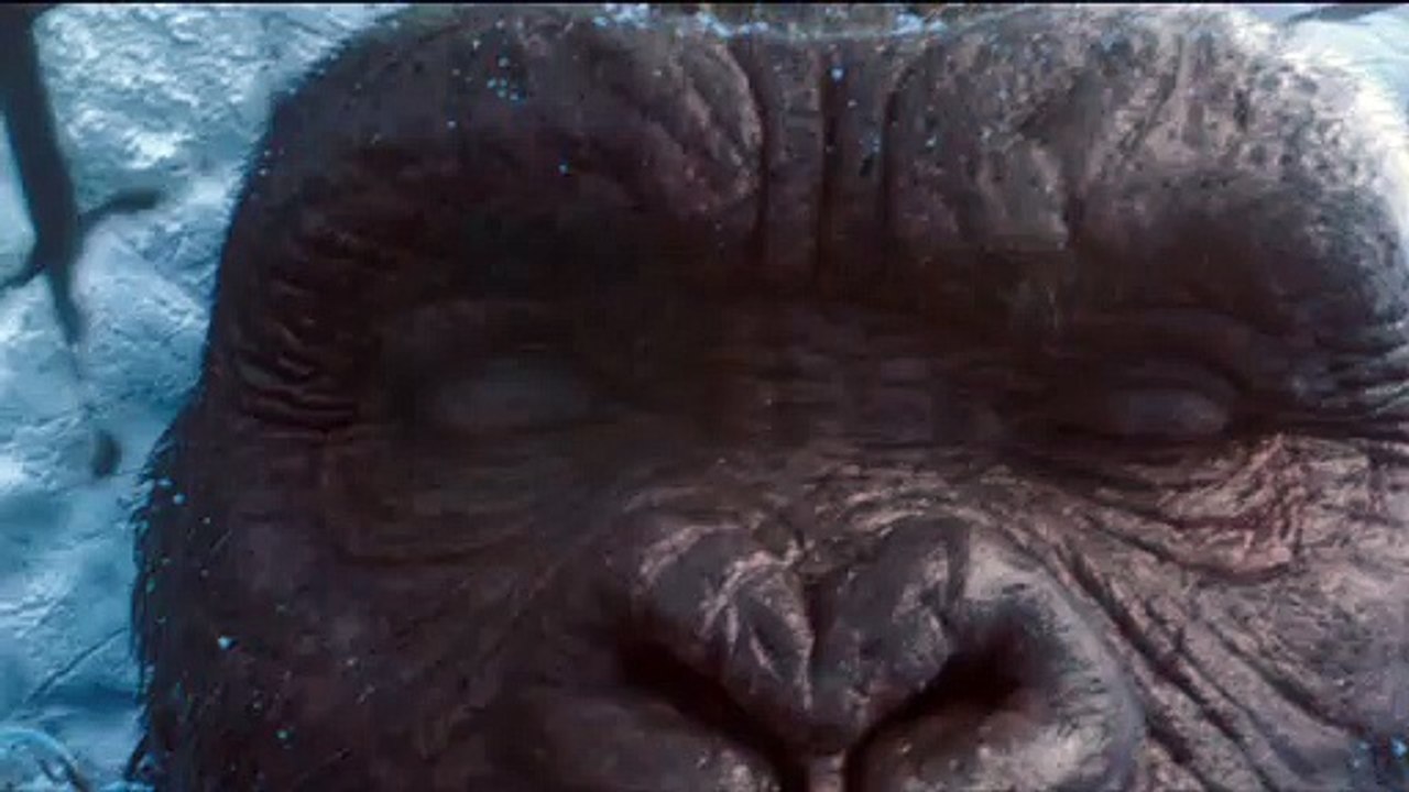 Best of WB - Promo (Deutsch)