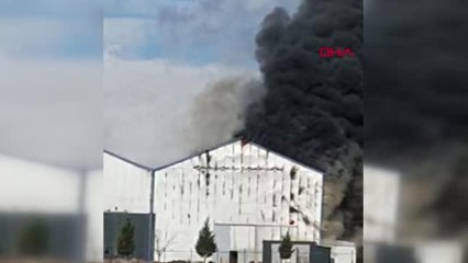 ÇORUM'DA YAĞ FABRİKASINDA YANGIN SÖNDÜRÜLDÜ