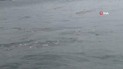 Üsküdar Sahili'nde çöpler kıyıya vurdu