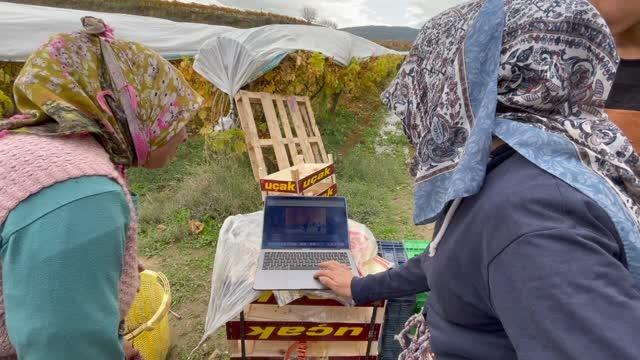 Üzüm işçileri, AA'nın Yılın Fotoğrafları oylamasına katıldı