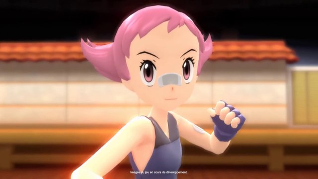 Pokémon Diamant Étincelant et Pokémon Perle Scintillante - Votre aventure à Sinnoh continue