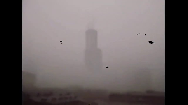 Monstruos gigantes captados en cámara