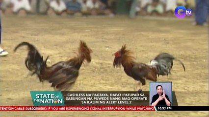 Cashless na pagtaya, dapat ipatupad sa sabungan na puwede nang mag-operate... | SONA