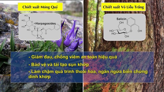 Giải mã sức khỏe 2022_ PS12122021