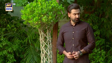 Mein Hari Piya Ep 42