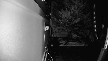 Automated Tree Protection From Cats