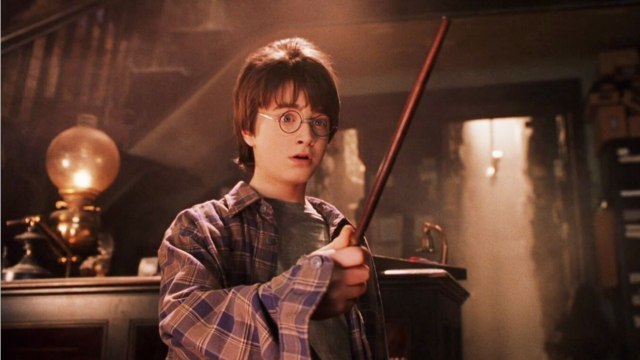 GALA VIDÉO - Harry Potter : la première photo de la réunion des 20 ans dévoilée, les fans déchaînés