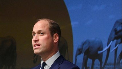 GALA VIDEO - « Je me suis levé comme un petit chiot " : le prince William lève le voile sur sa soirée avec Taylor Swift…