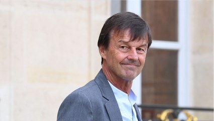 GALA VIDEO - Affaire Nicolas Hulot : bientôt de nouvelles accusations ?