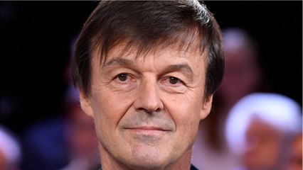 GALA VIDEO - Nicolas Hulot accusé de viol : la justice s'empare de l'affaire et ouvre une enquête