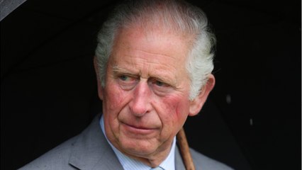 GALA VIDEO - Le prince Charles en deuil : il a perdu un être cher