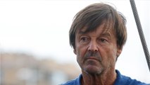 GALA VIDEO - Nicolas Hulot accusé de viol : que sait-on sur ces nouveaux témoignages ?