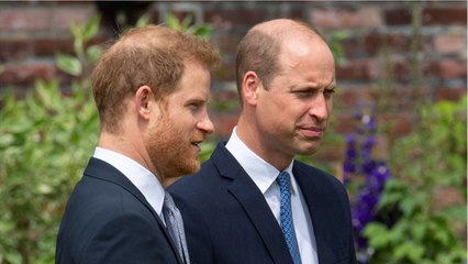 GALA VIDEO - William agacé par Harry lors de l'inauguration de la statue de Diana : ces moments gênants révélés